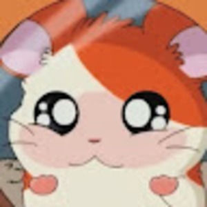 Meet your Posher, Anisa